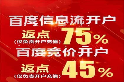 SEM投放策略：成功案例解析